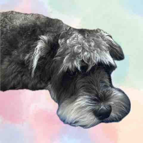 みるく♡フォロバ120%