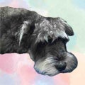 みるく♡フォロバ120%