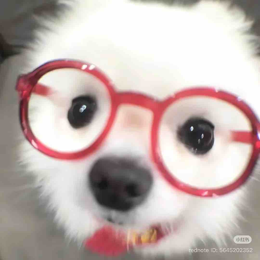 nami♡︎フォロバ100