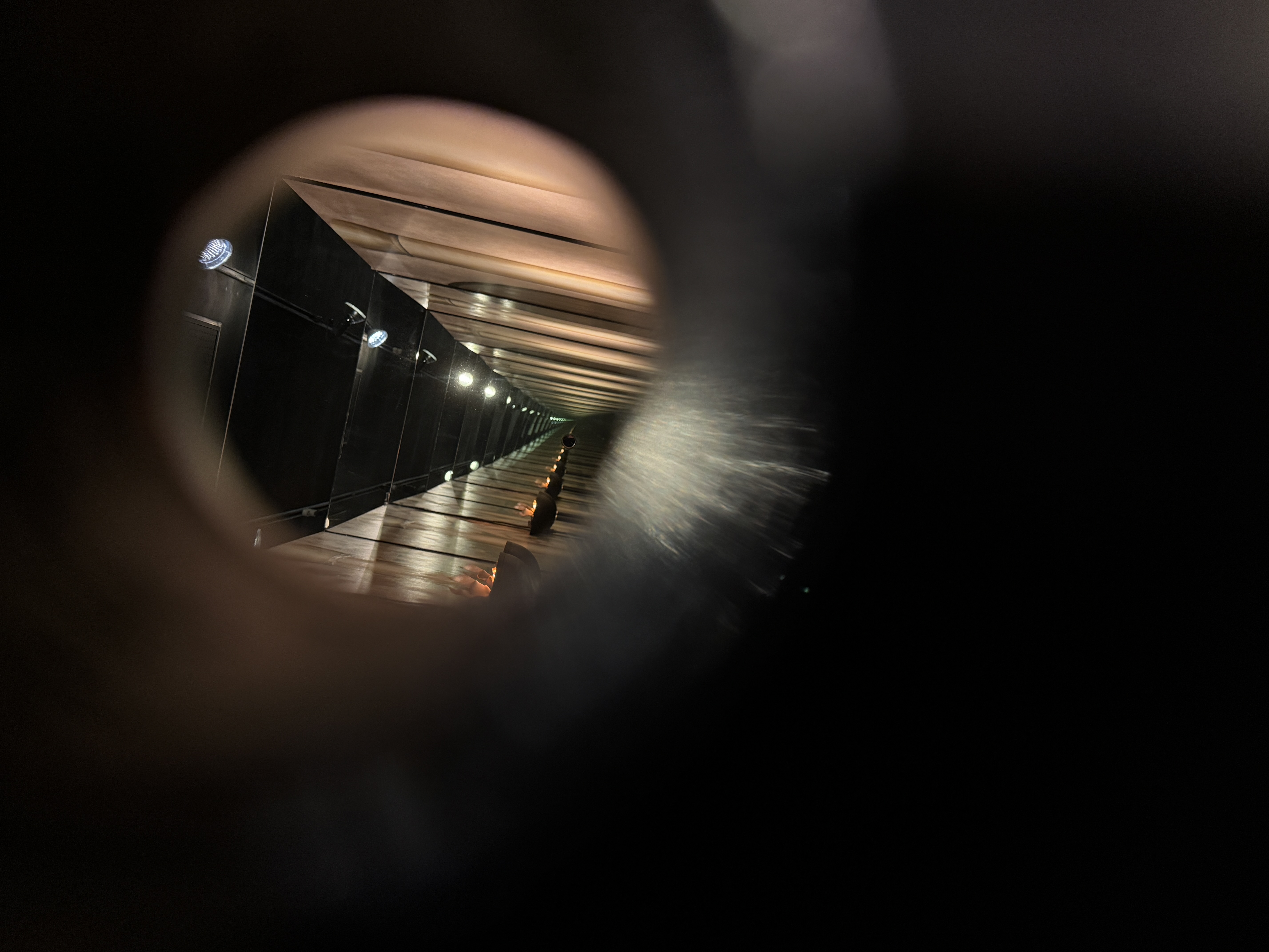 さくらんさくらん