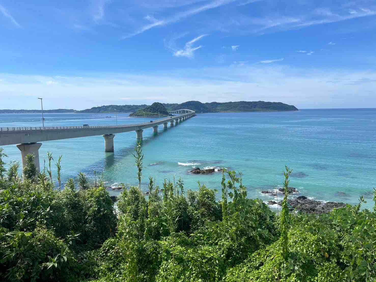 さとみ/フォロバ◎