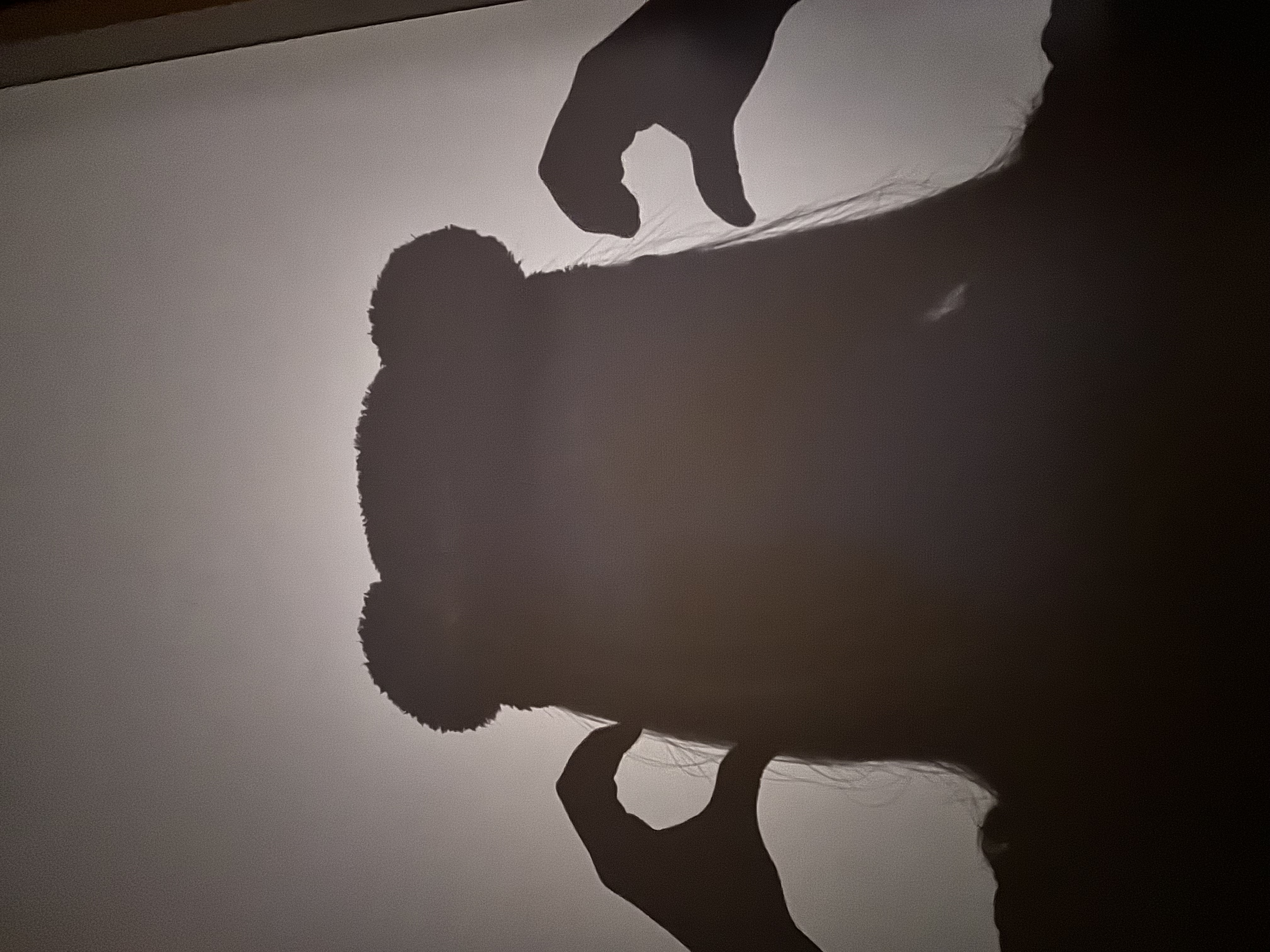 ましろ@マシュマロ大好き🫧🐣