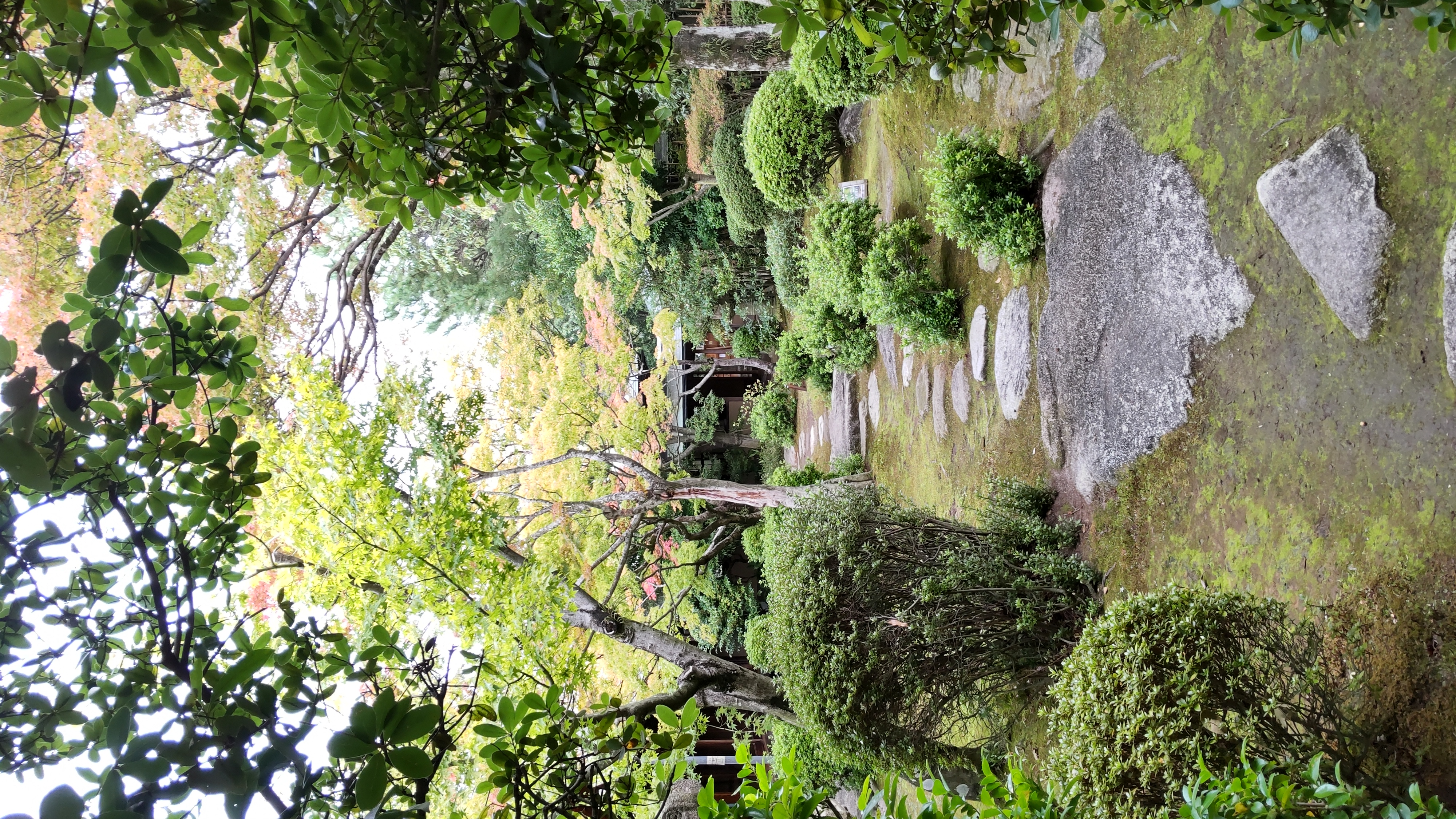 コスメありがとう