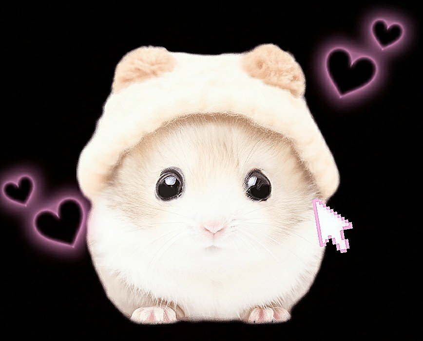 moka 髪伸ばし中