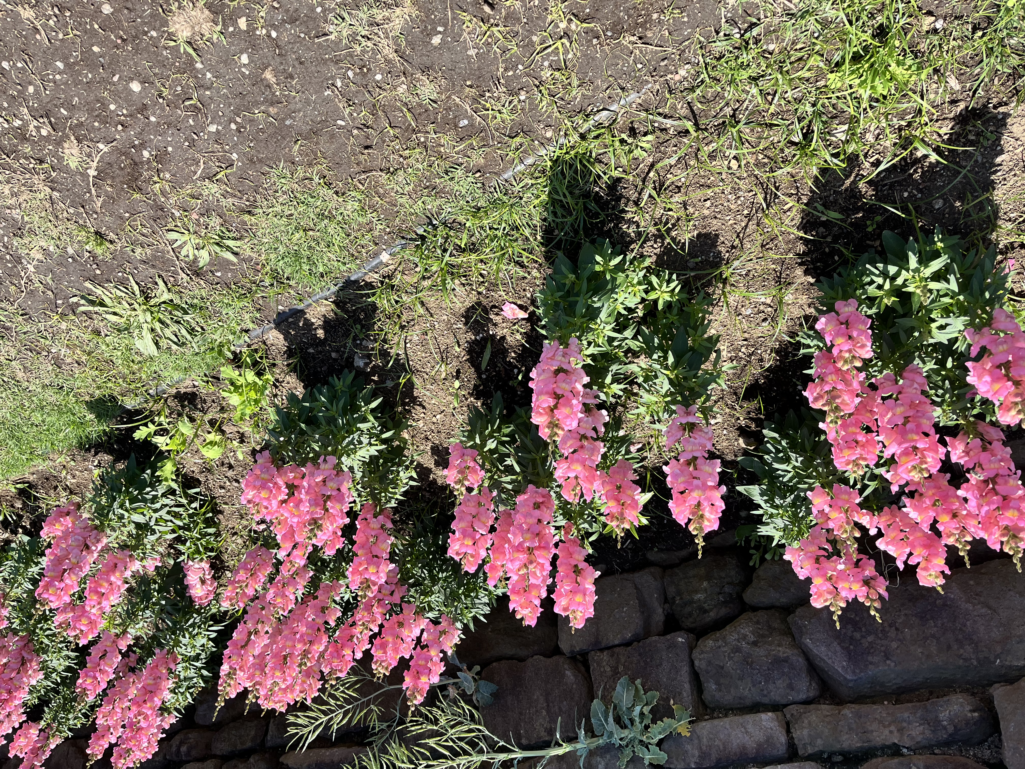 moyo ＊フォロバします＊