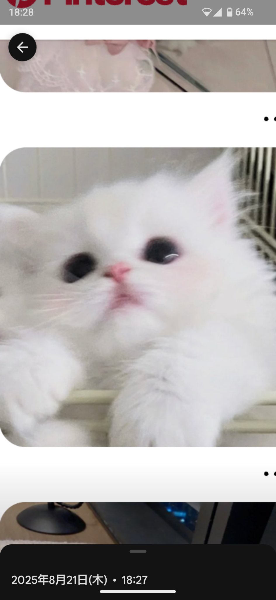 てぃあら✧︎*。