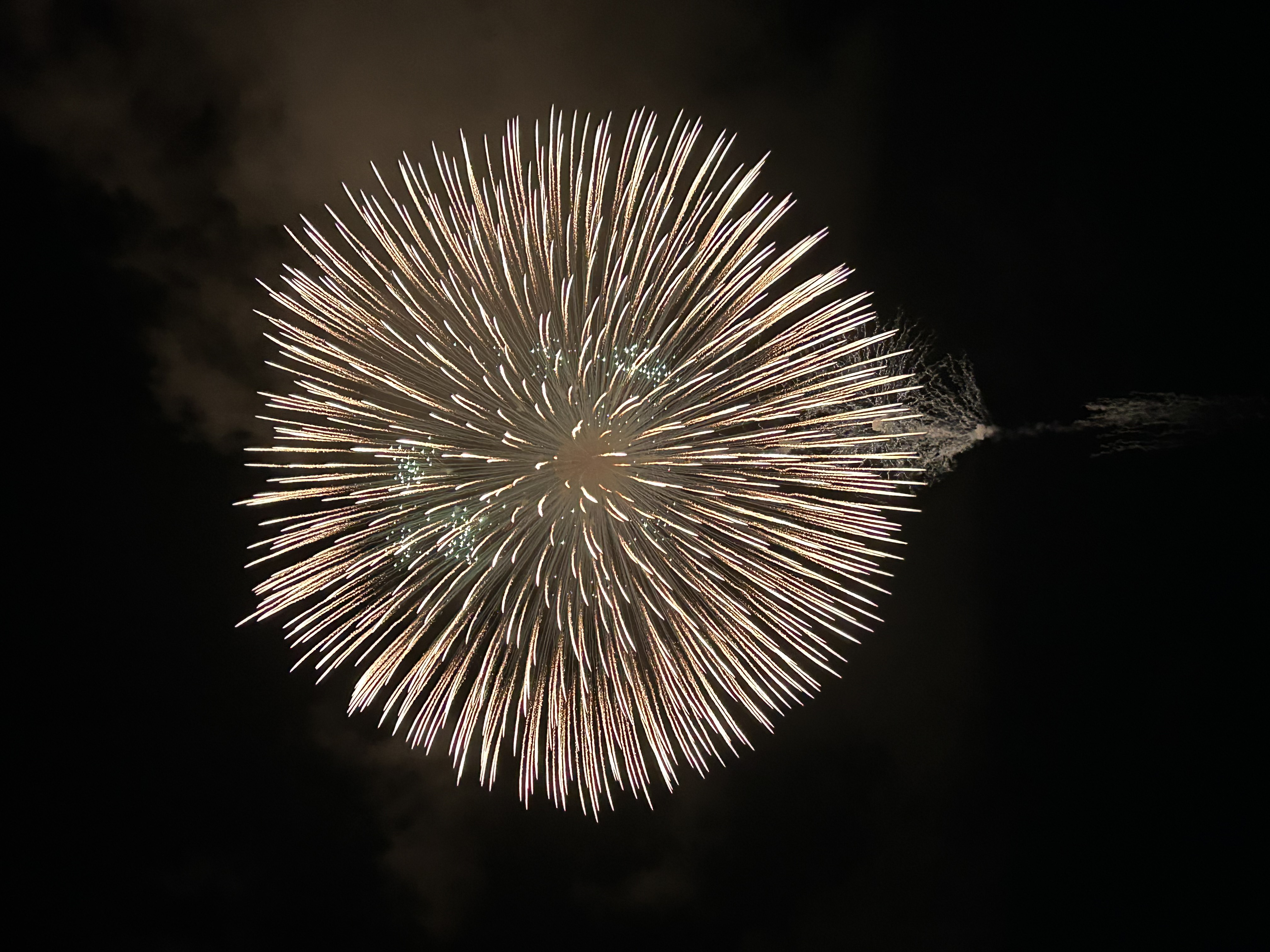 𝓜❀𓈒𓏸︎︎︎︎