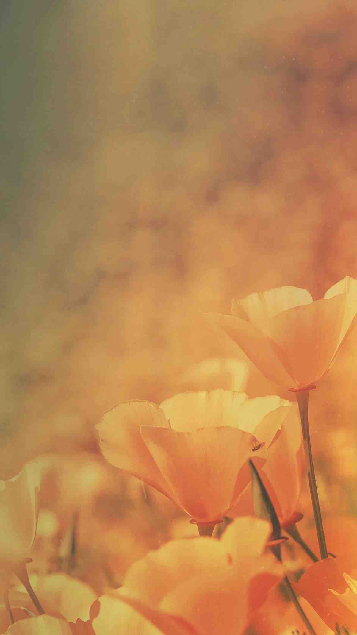 m .. フォロバしてます☻