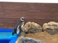 辿