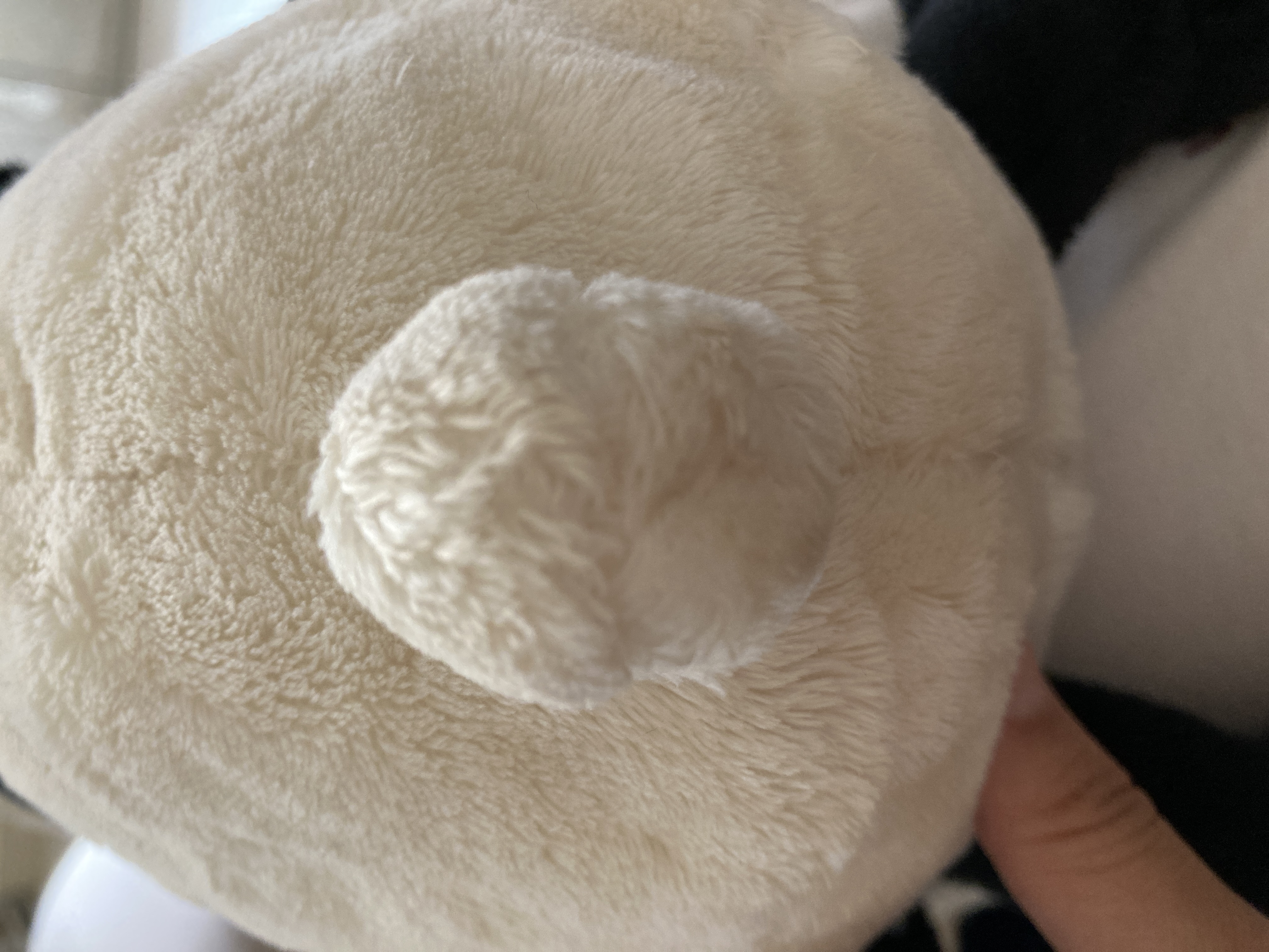 八切プリンス👸