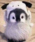 ちったん