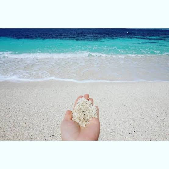 ばにゃにゃ🐈‍⬛