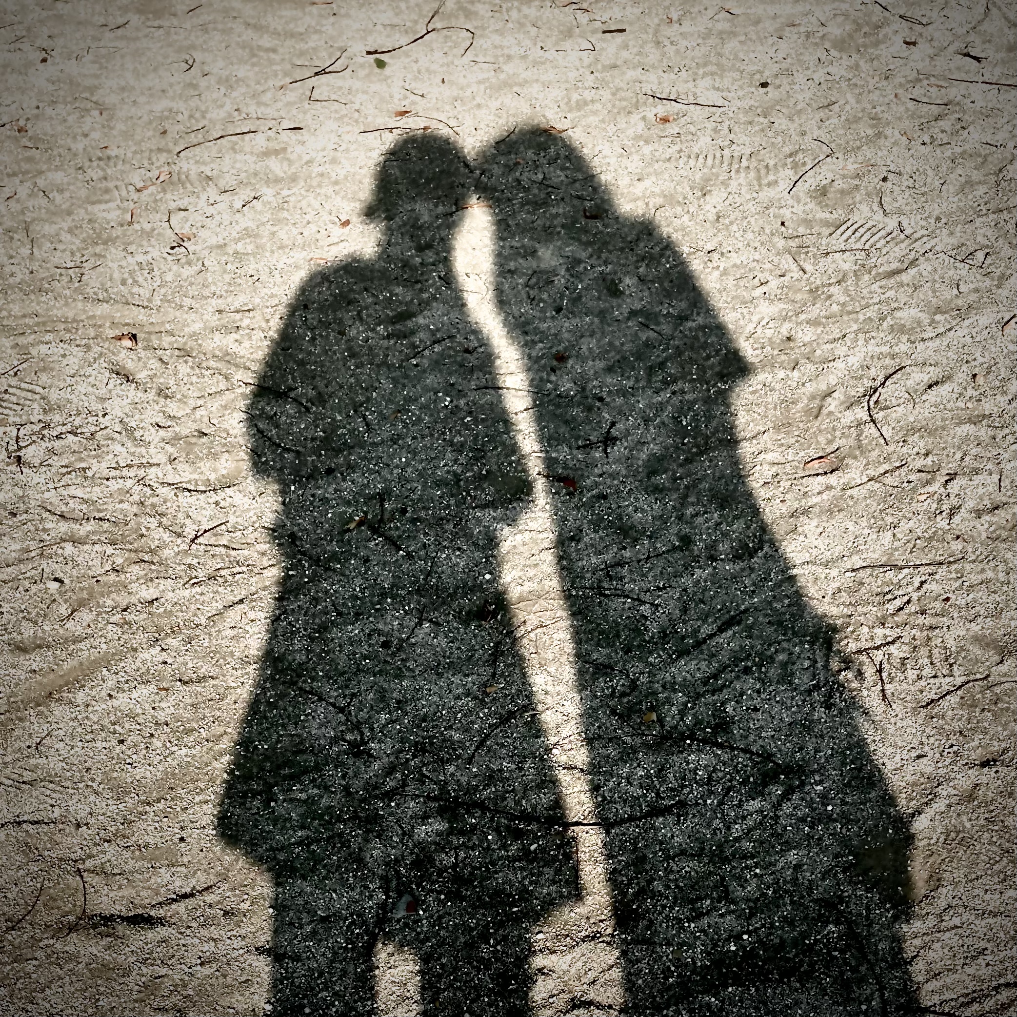 .˚ʚ れ あ ɞ˚.【転生します、引退済み】