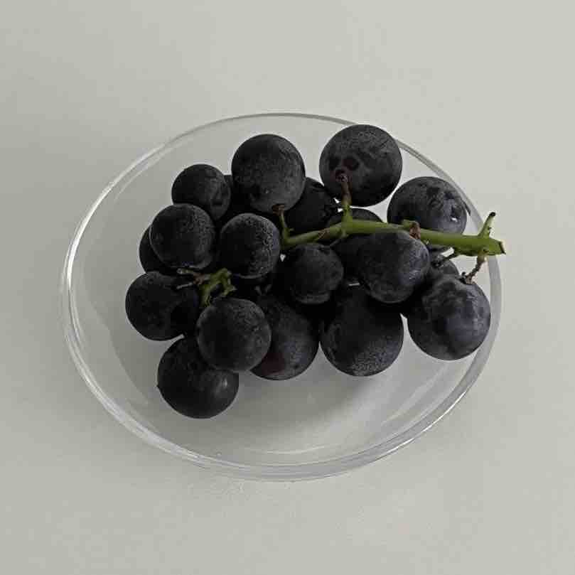 mute.motd 🍇フォロバ◎