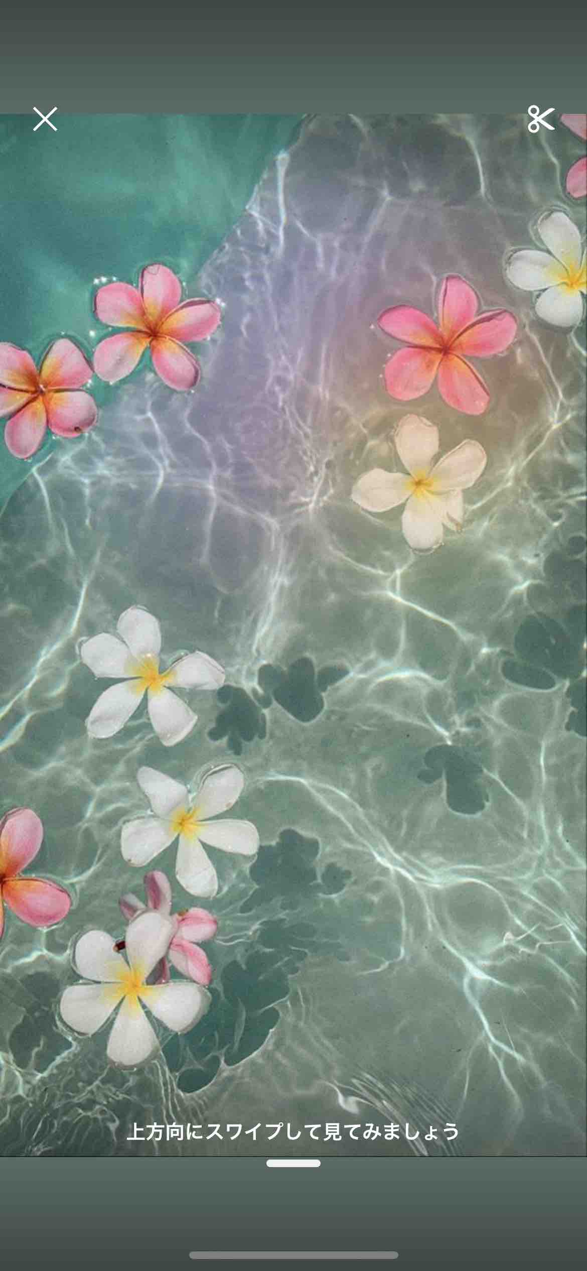 𐔌՞･·･՞𐦯