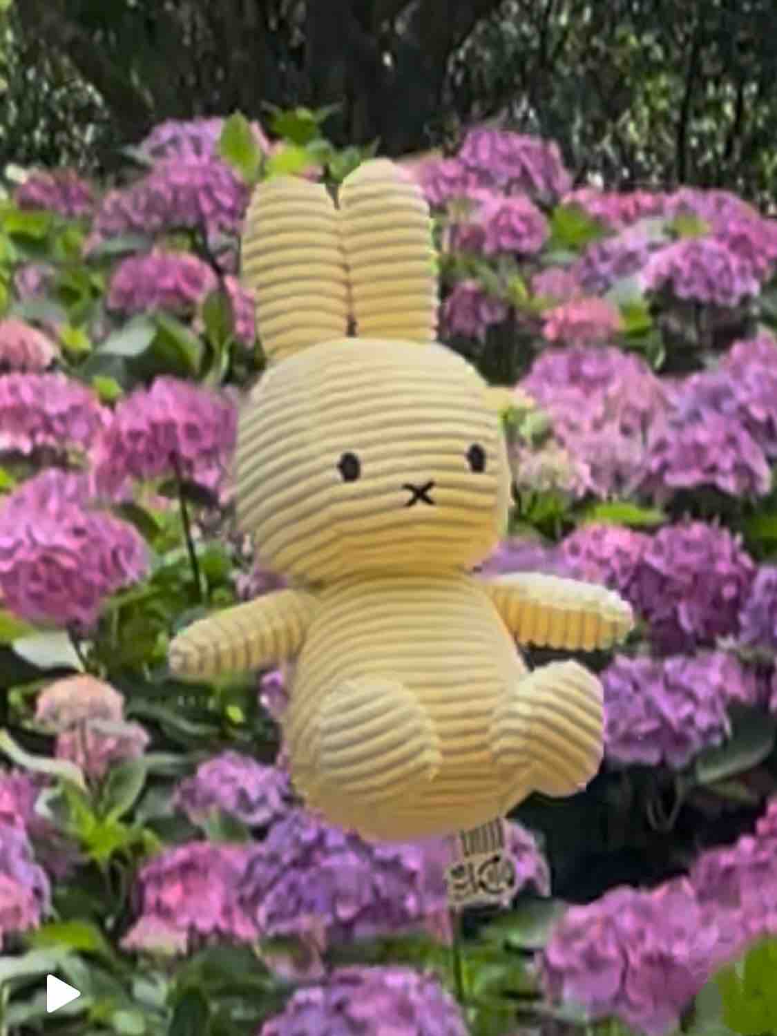 ミニうさぎ＊フォロバ100