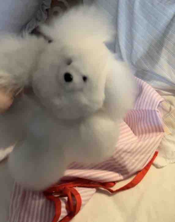 同僚ちゃん𐔌՞ ܸ.ˬ.ܸ ՞𐦯