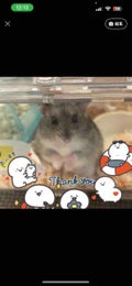 甘えてるようじゃ無理か。朝はね、ちゃんと起きないと