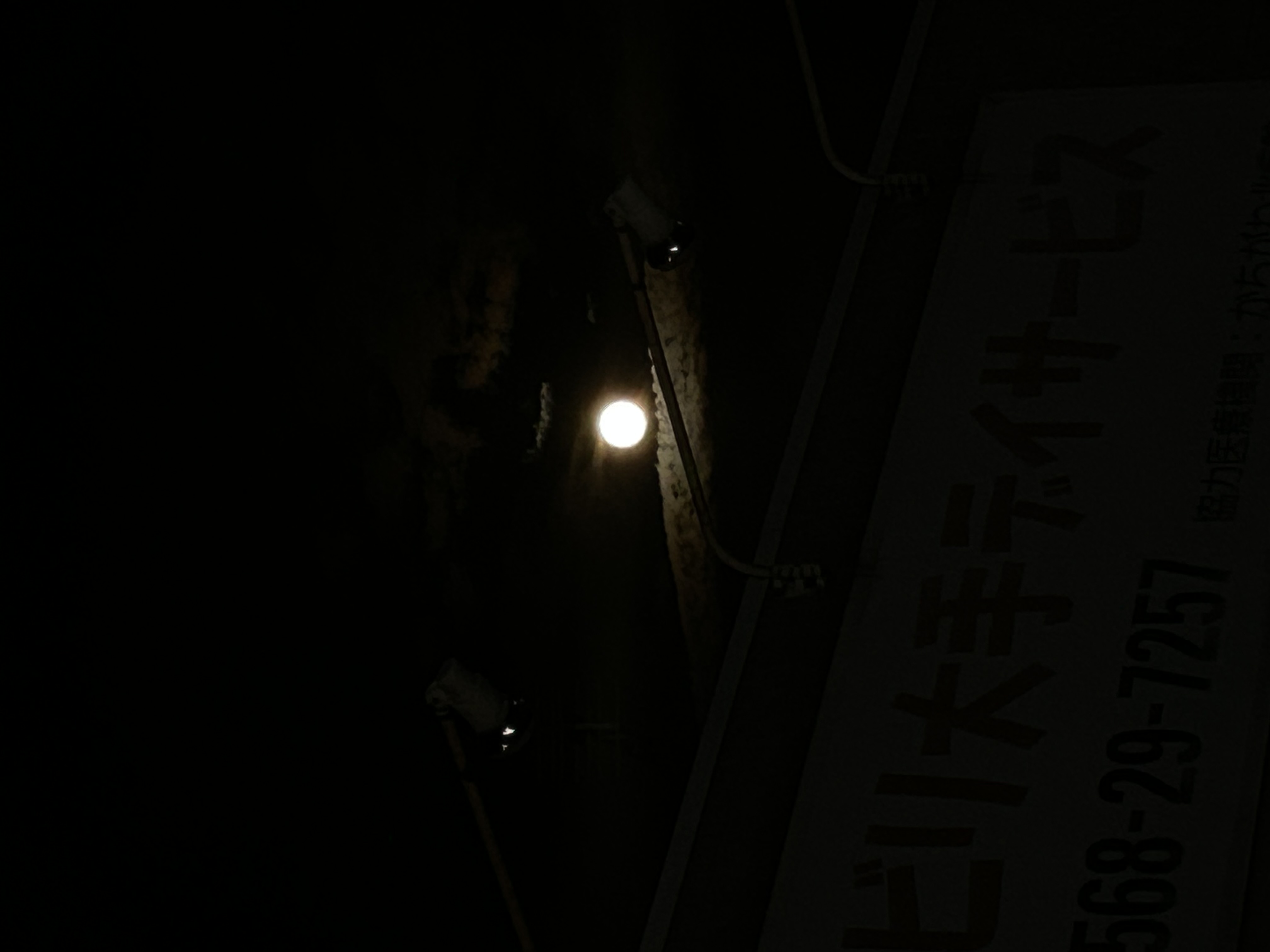 あぼかど🍋フォロバ100%