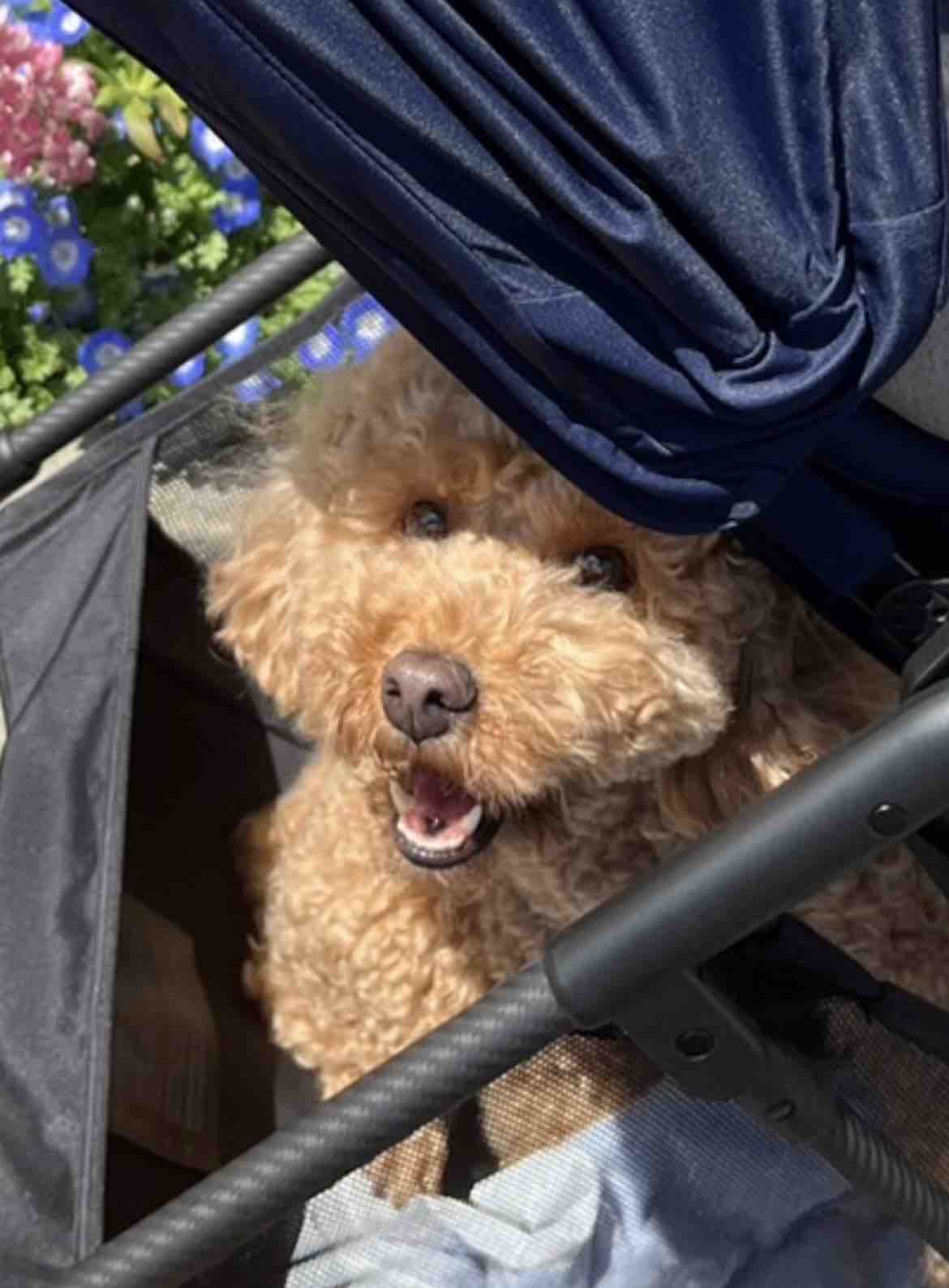 もも　フォロバ100