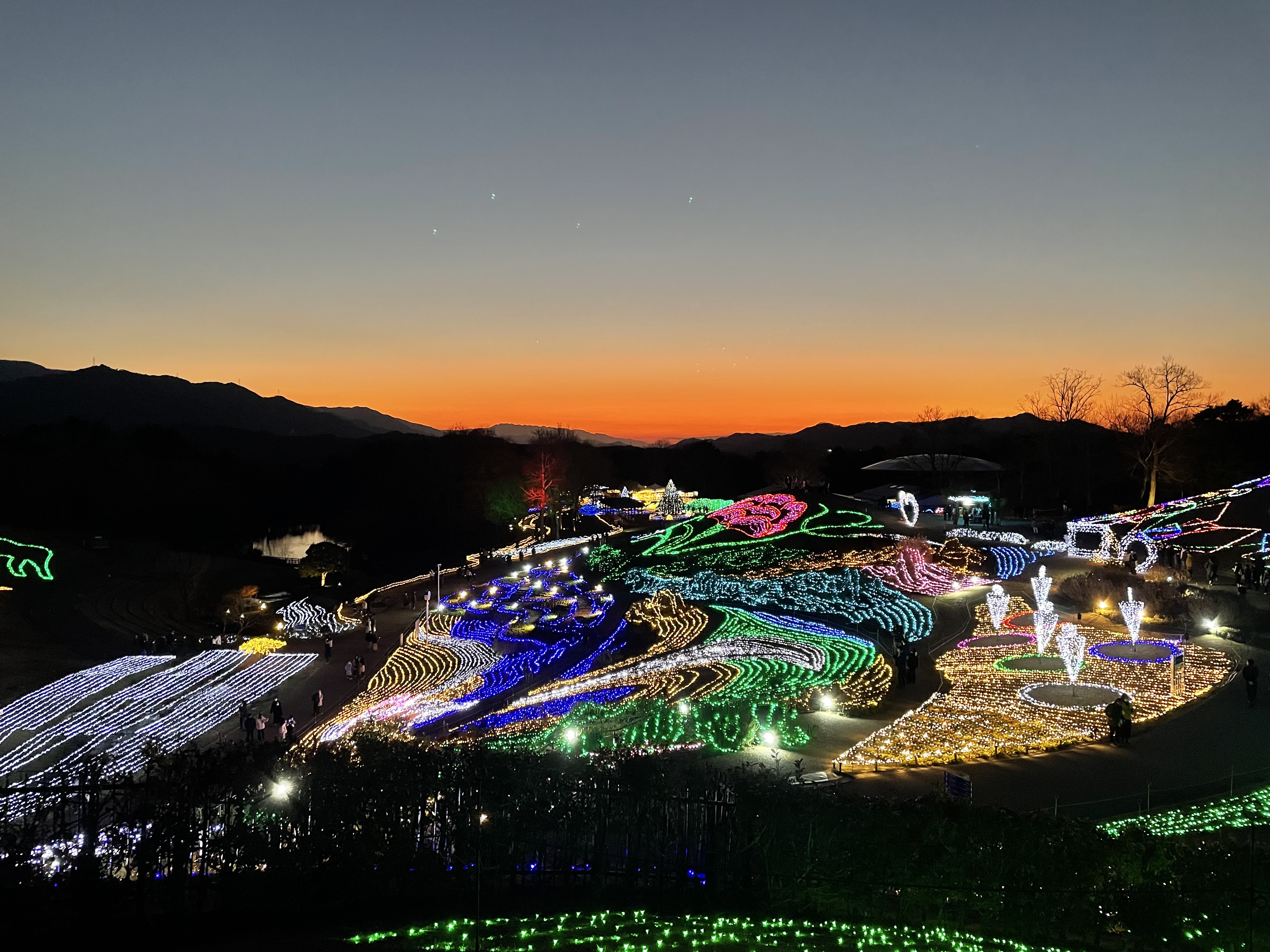 𝕔𝕖𝕝𝕖𝕣𝕪