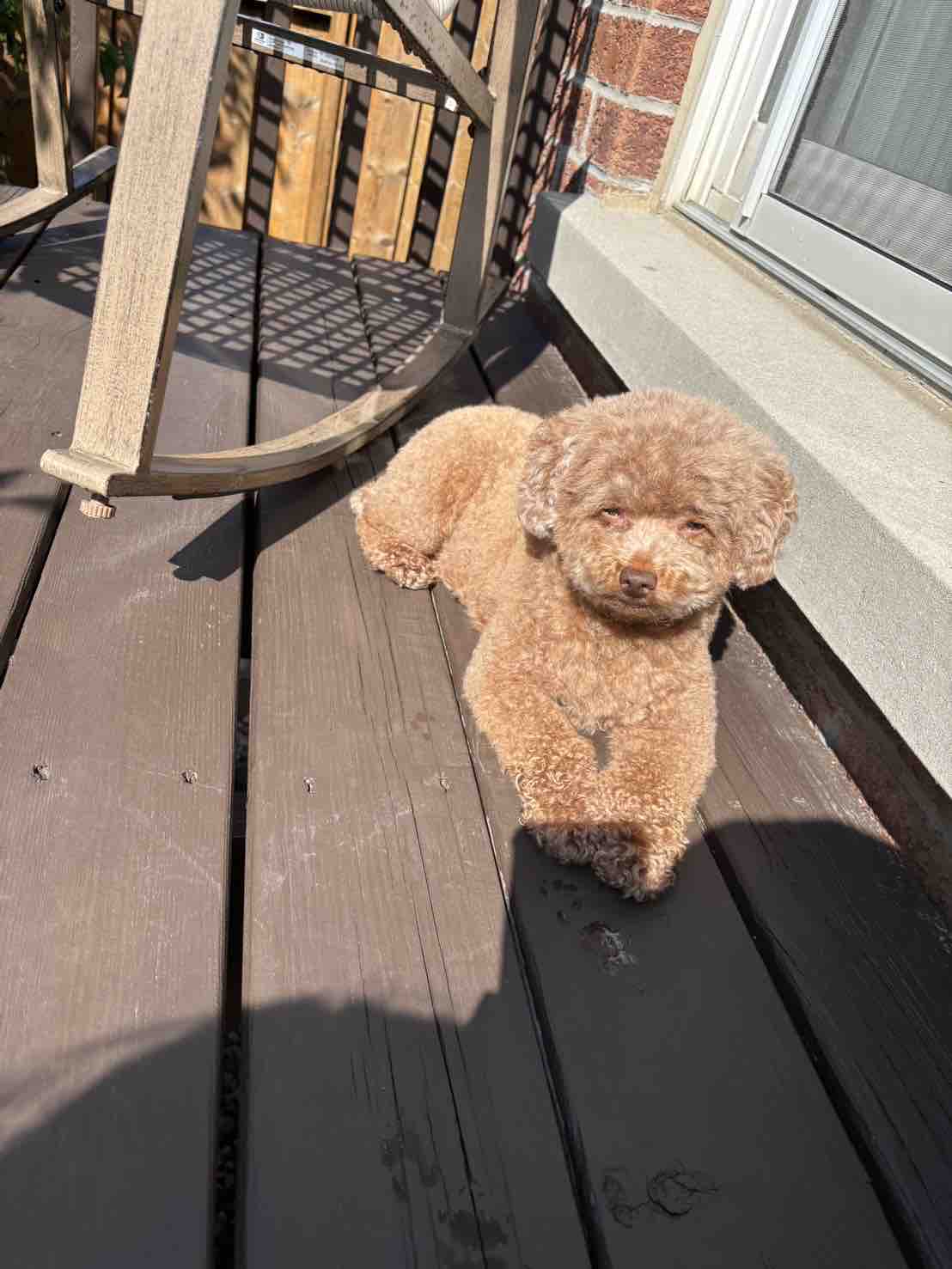 くれあ©︎【フォロバ】