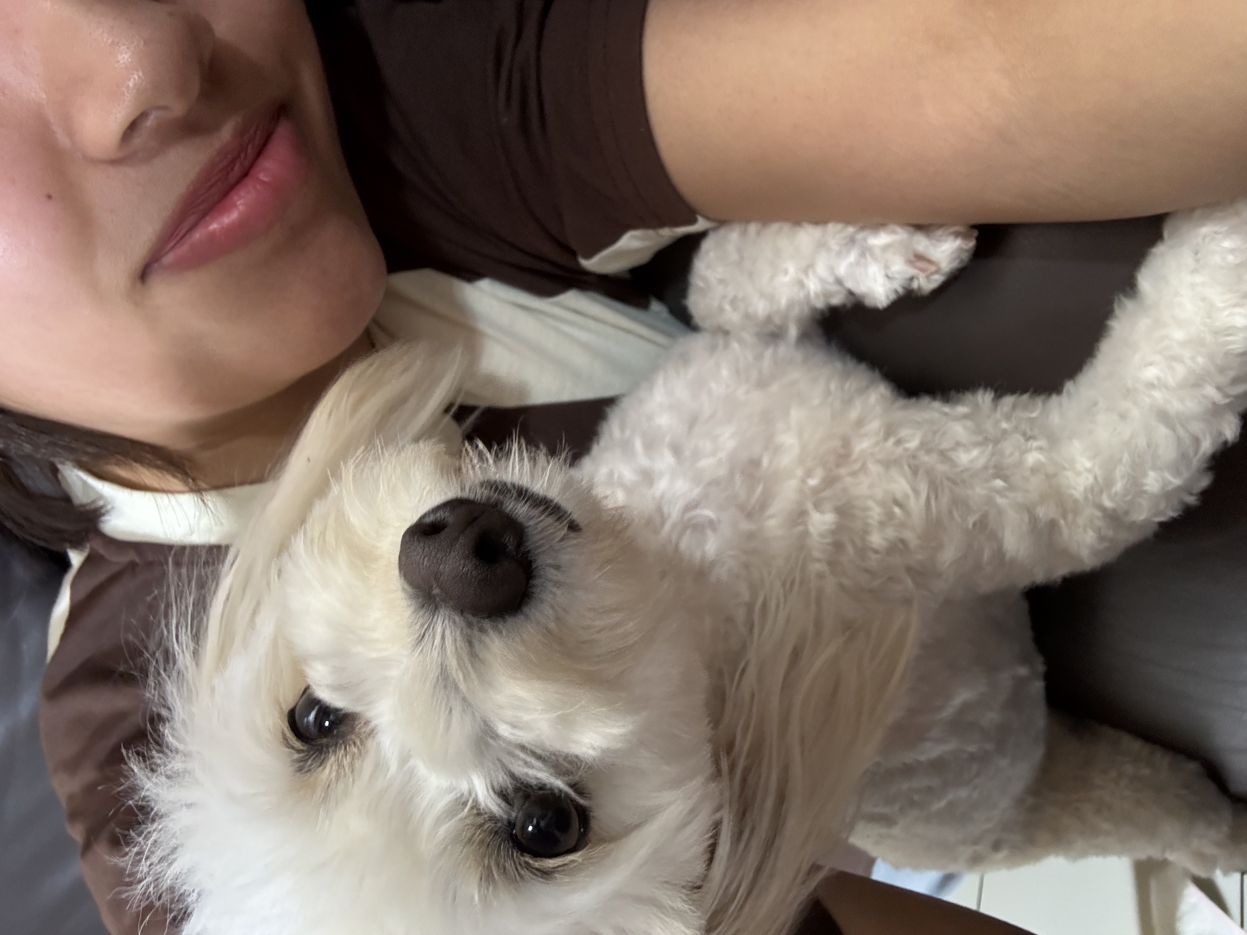 らら   フォロバ100　　