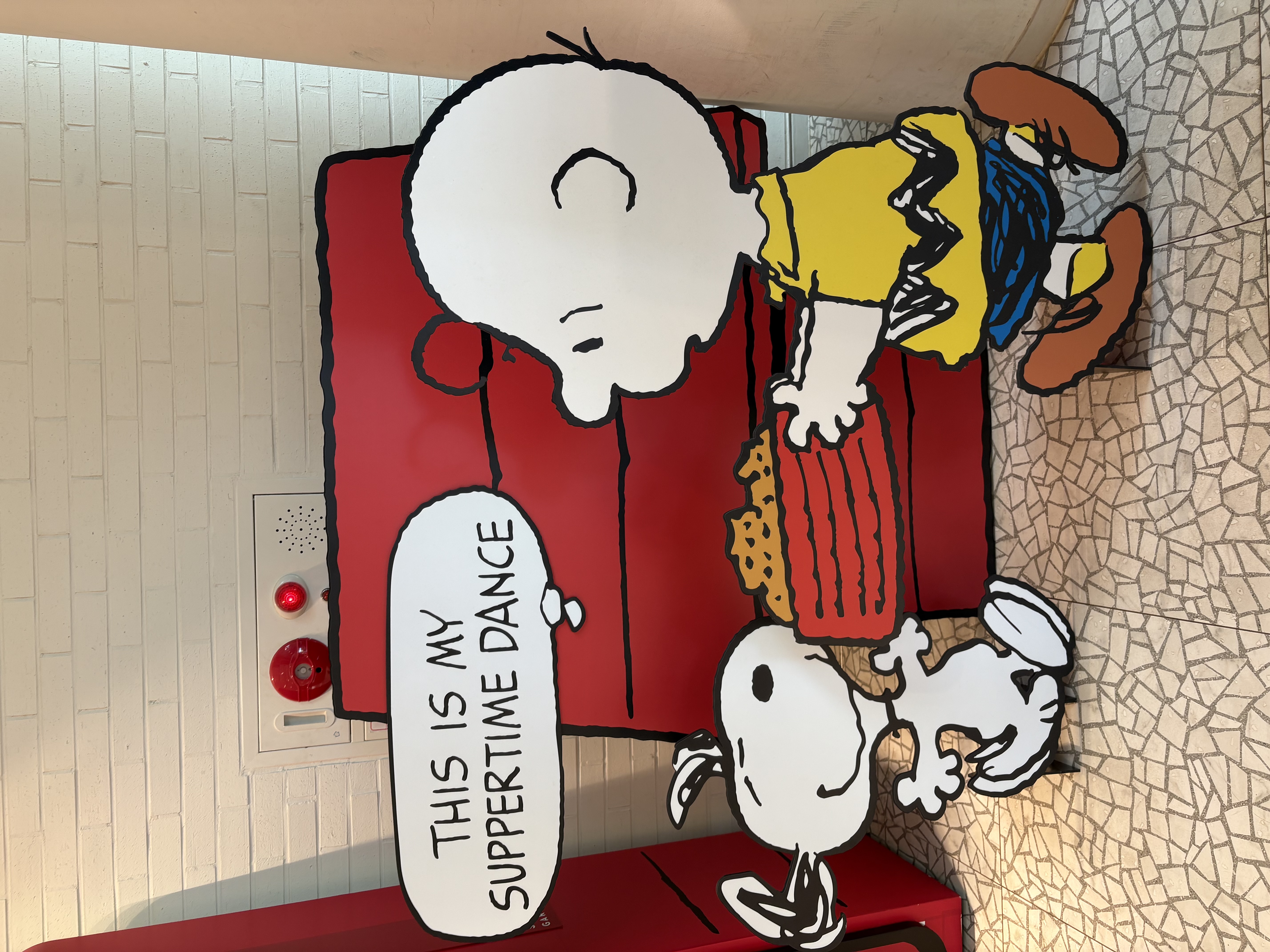 すぬちゃん/フォロバ100