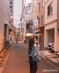 心菜