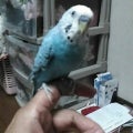 もか