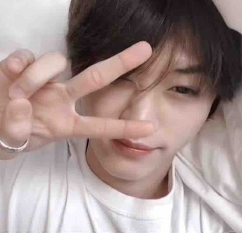 🍑💙🐶キム・リノ🐰💜🦝