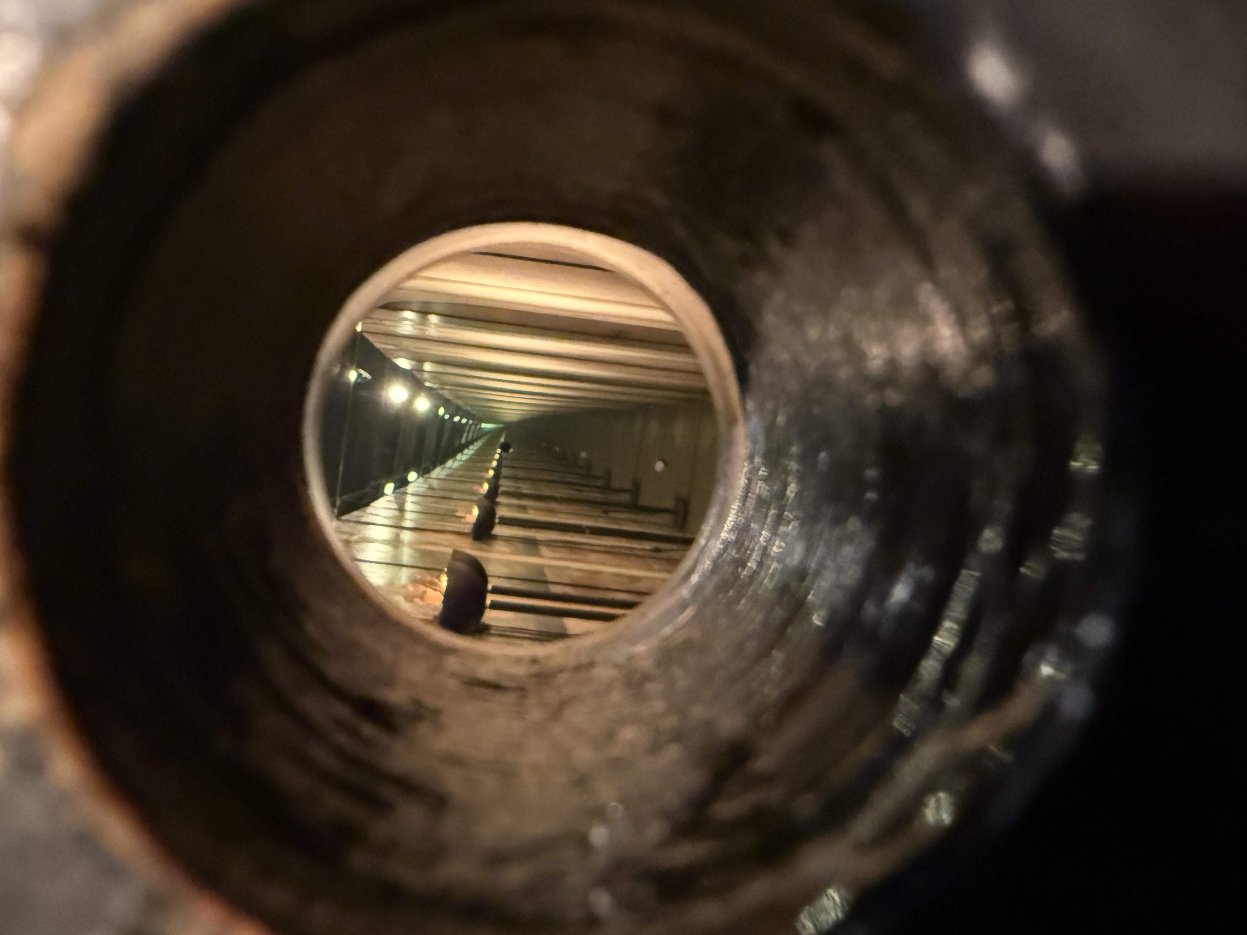 ゆきゆきっりん