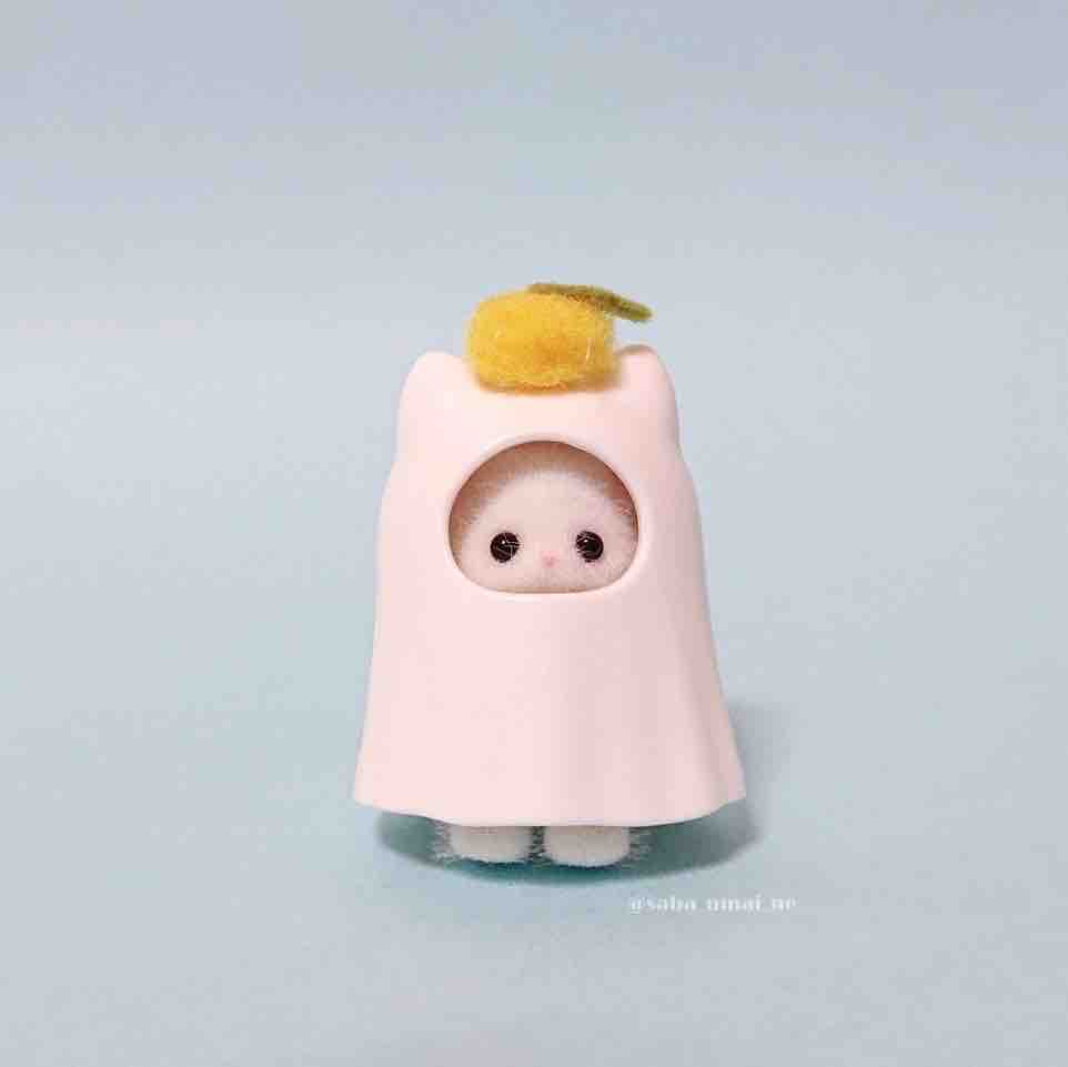 ぽめ/フォロバします🤍