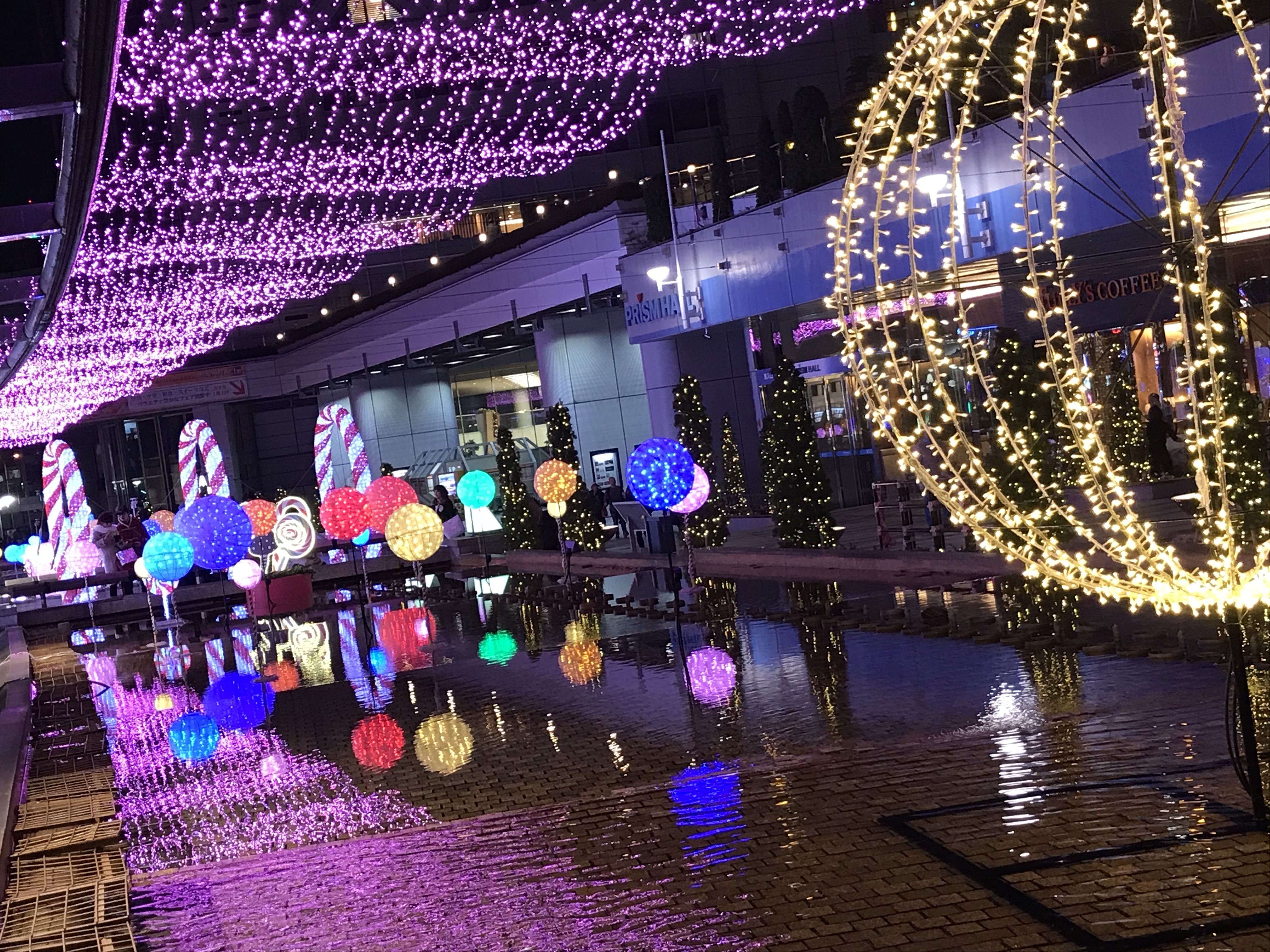 Solami@フォロバ100%