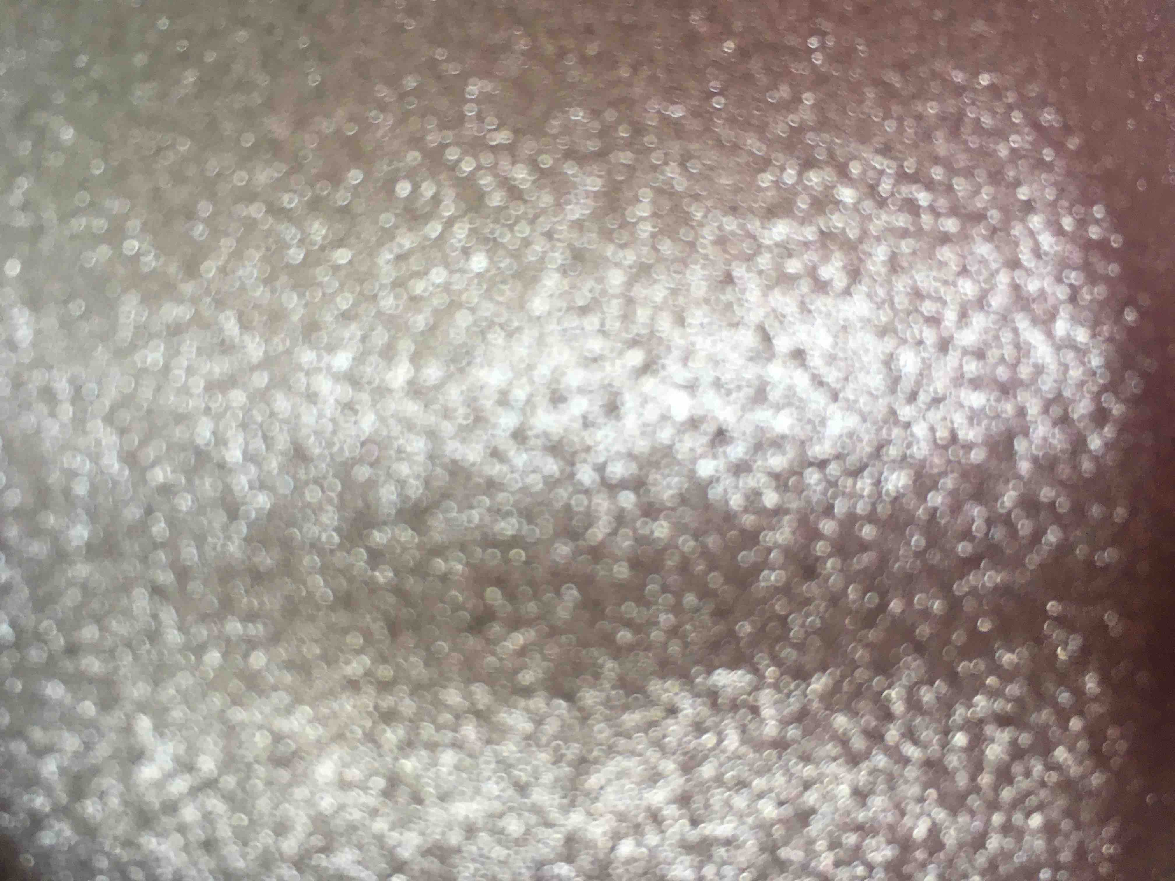 サヨナラヒストリー🎉