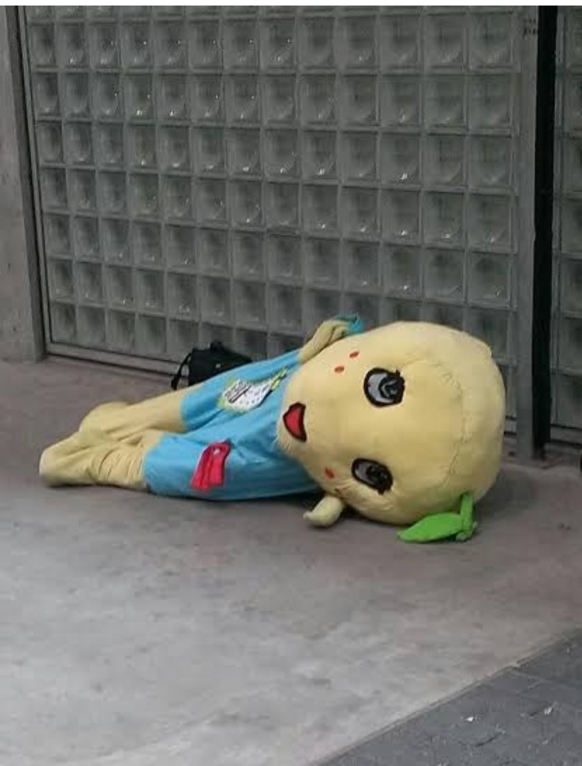 みっふぃーちゃん