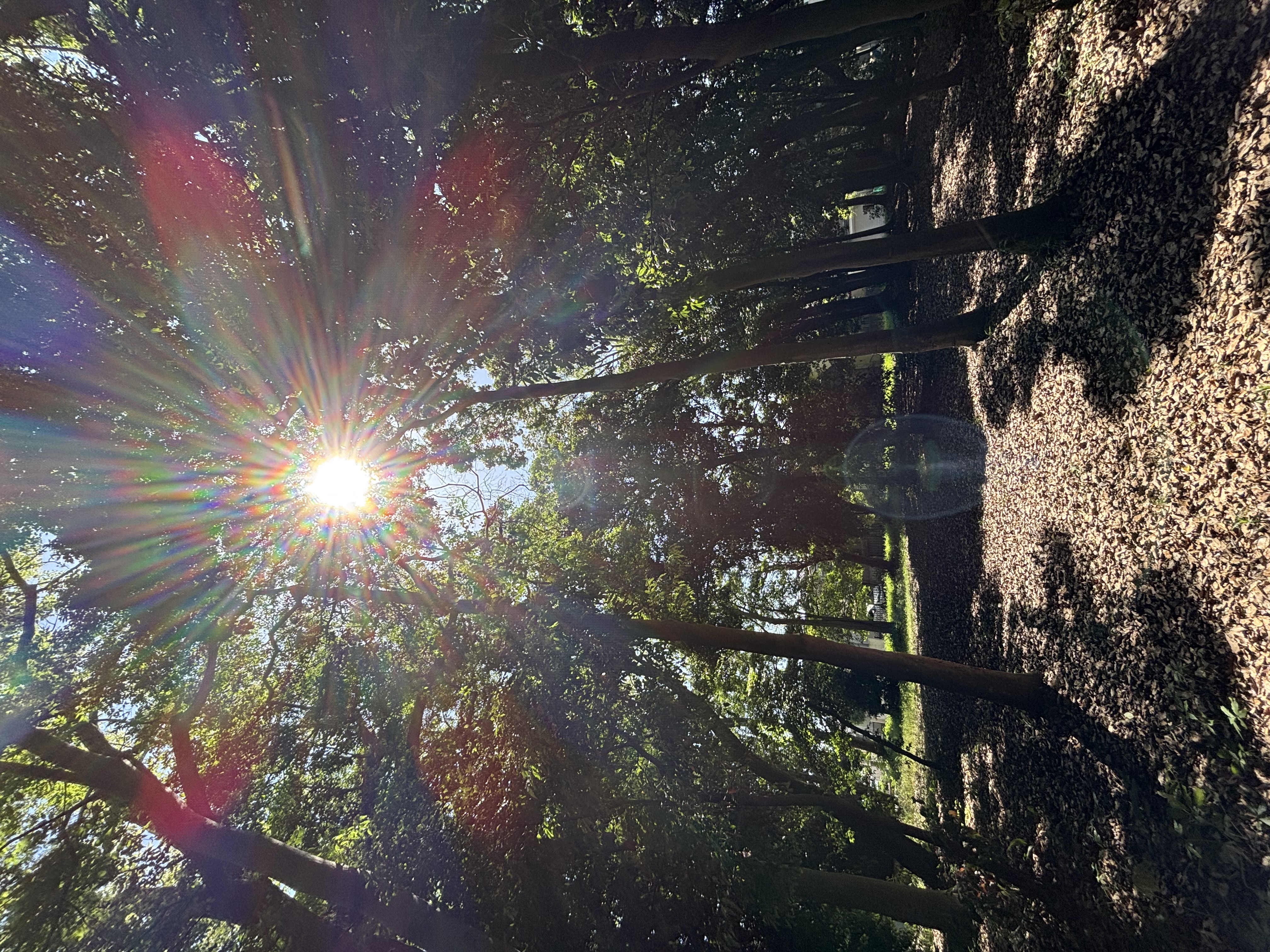 イヨ。フォロバ🙆‍♀️