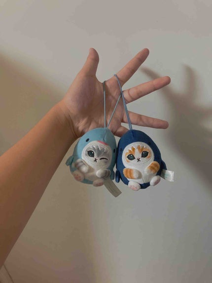 せな🐱🐧 フォロバ
