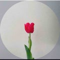 fantastic_cosme_qhxy