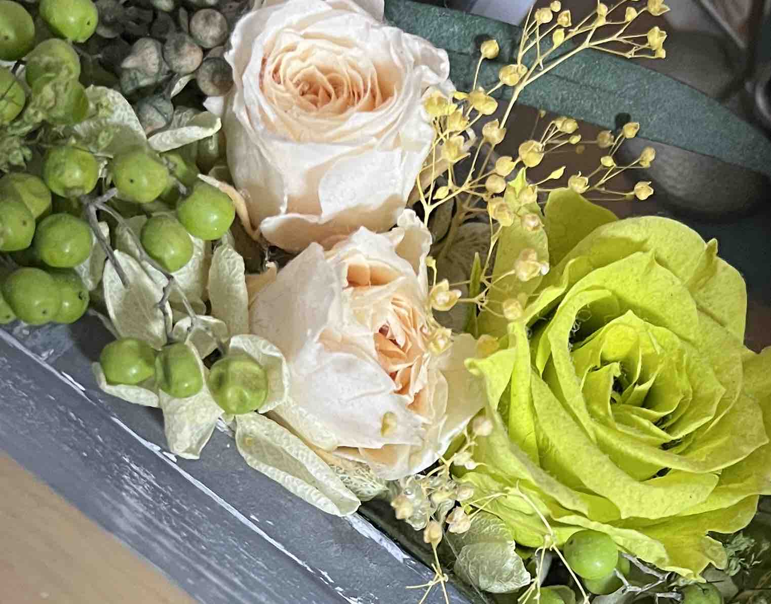 涼🍉フォロバ100