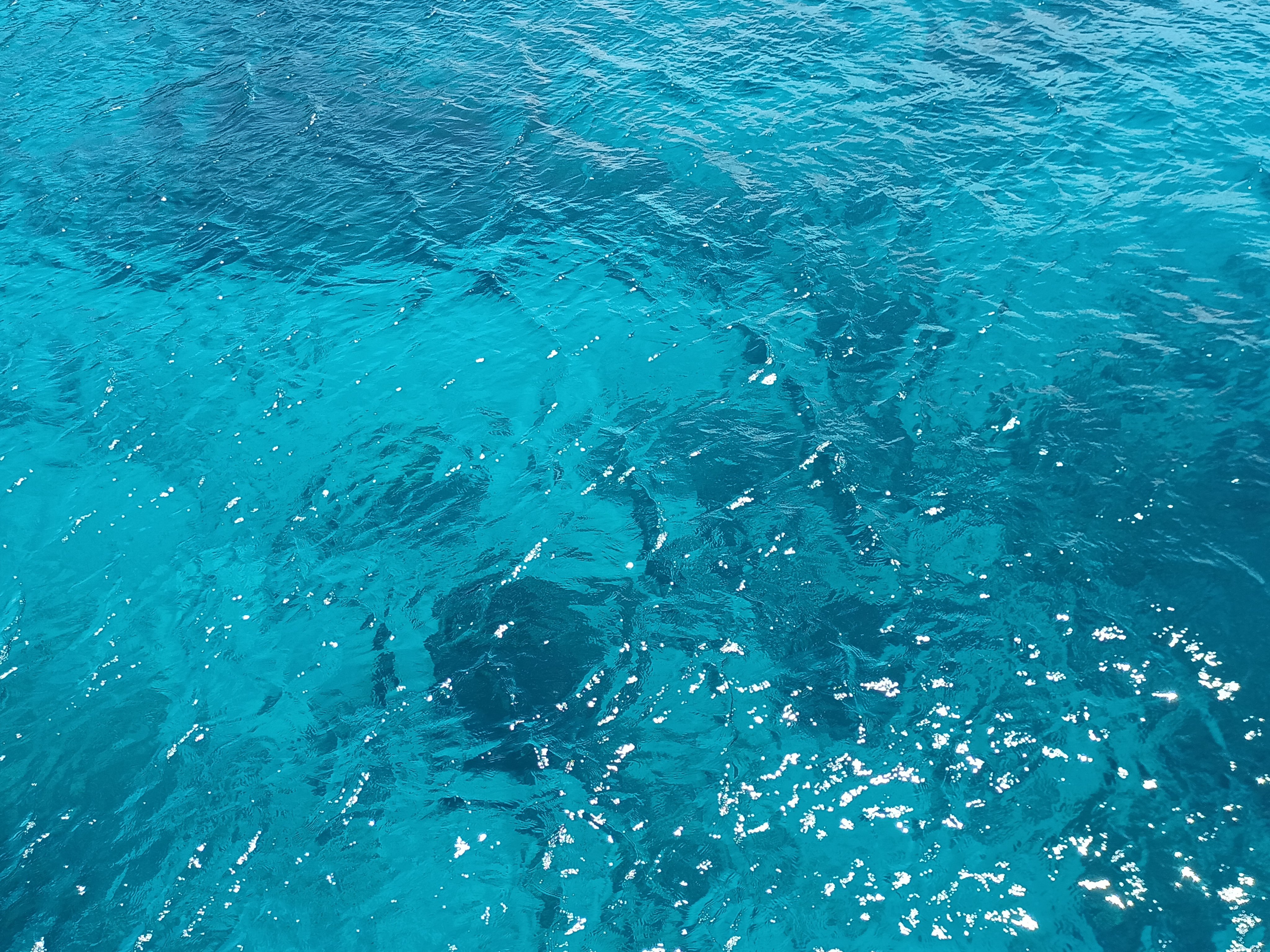 いぬ✢フォロバ100✢