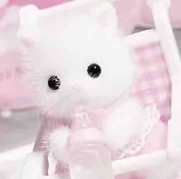 あんず@フォロバ100