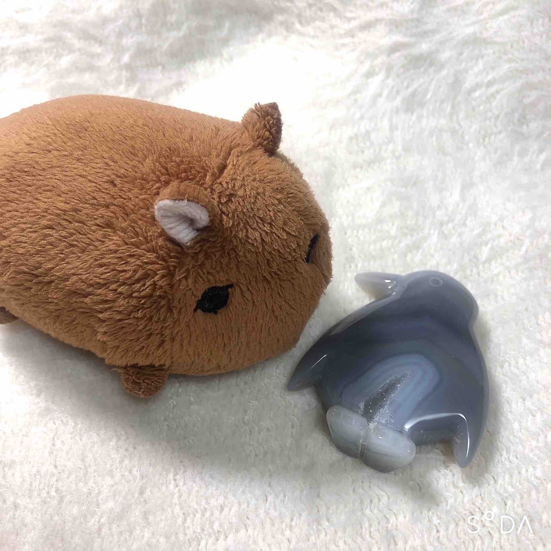 ユウ(フォロバ100)