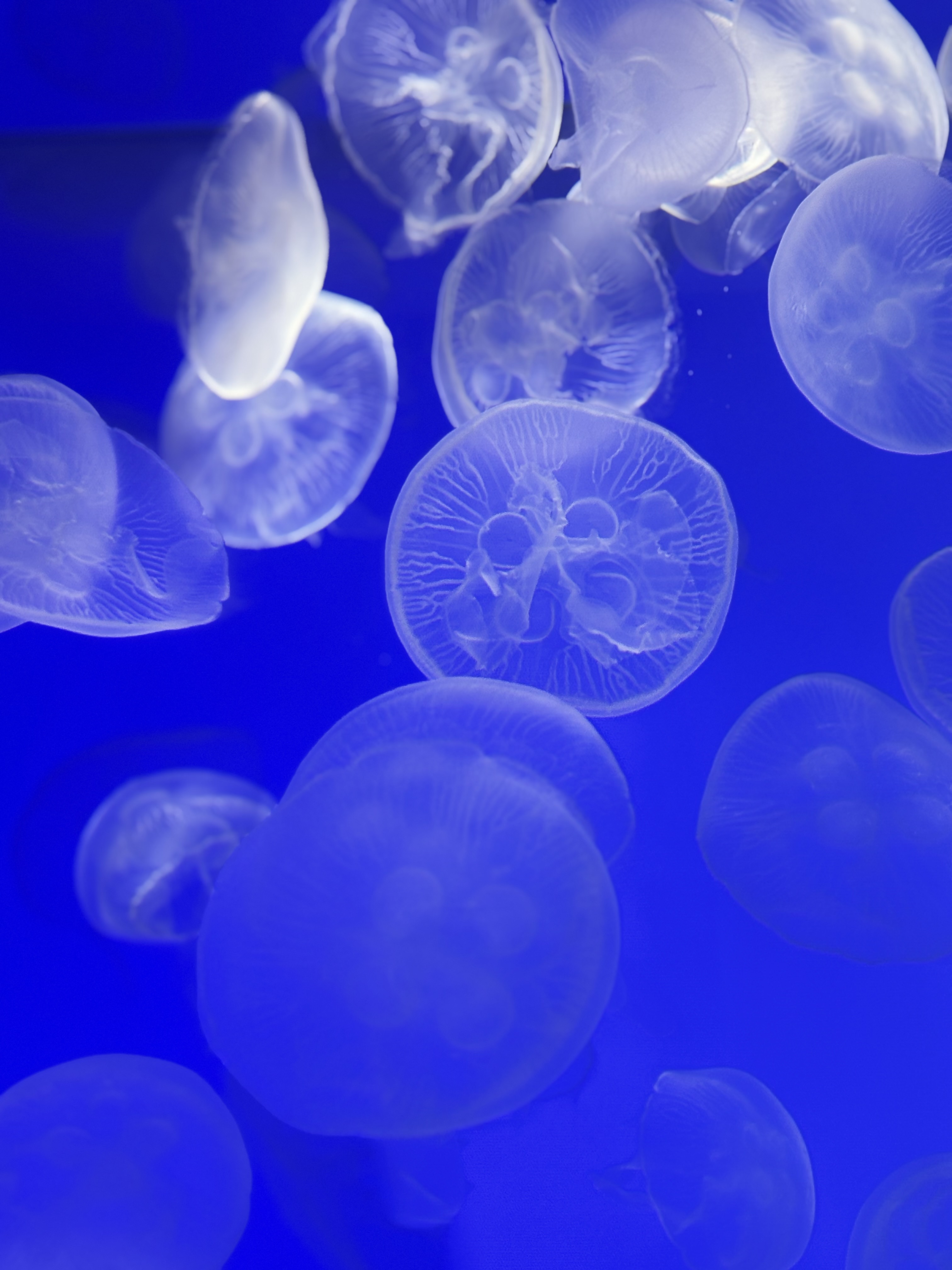 なすび🦭フォロバ