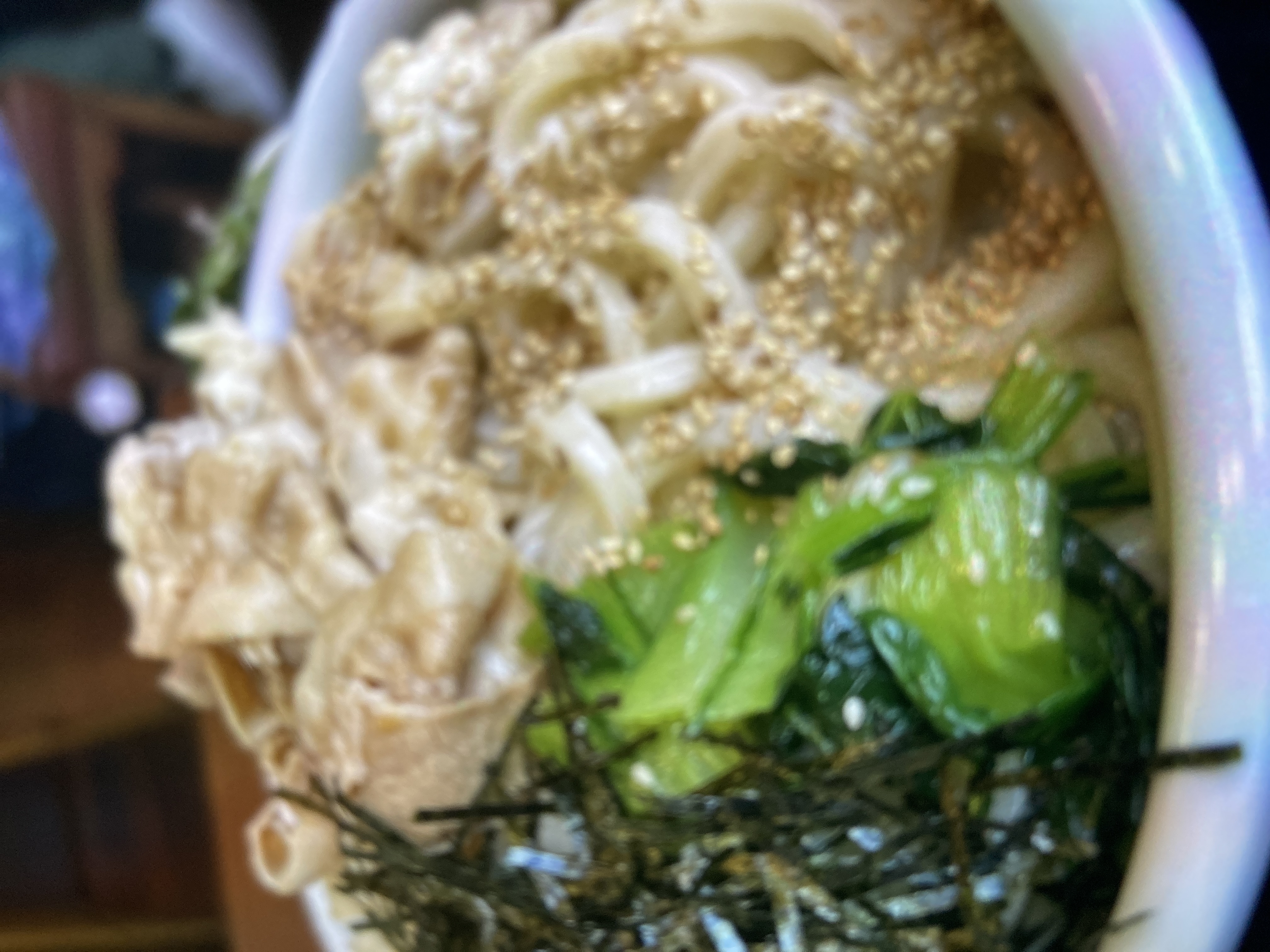 ナビゲート柴犬🐾