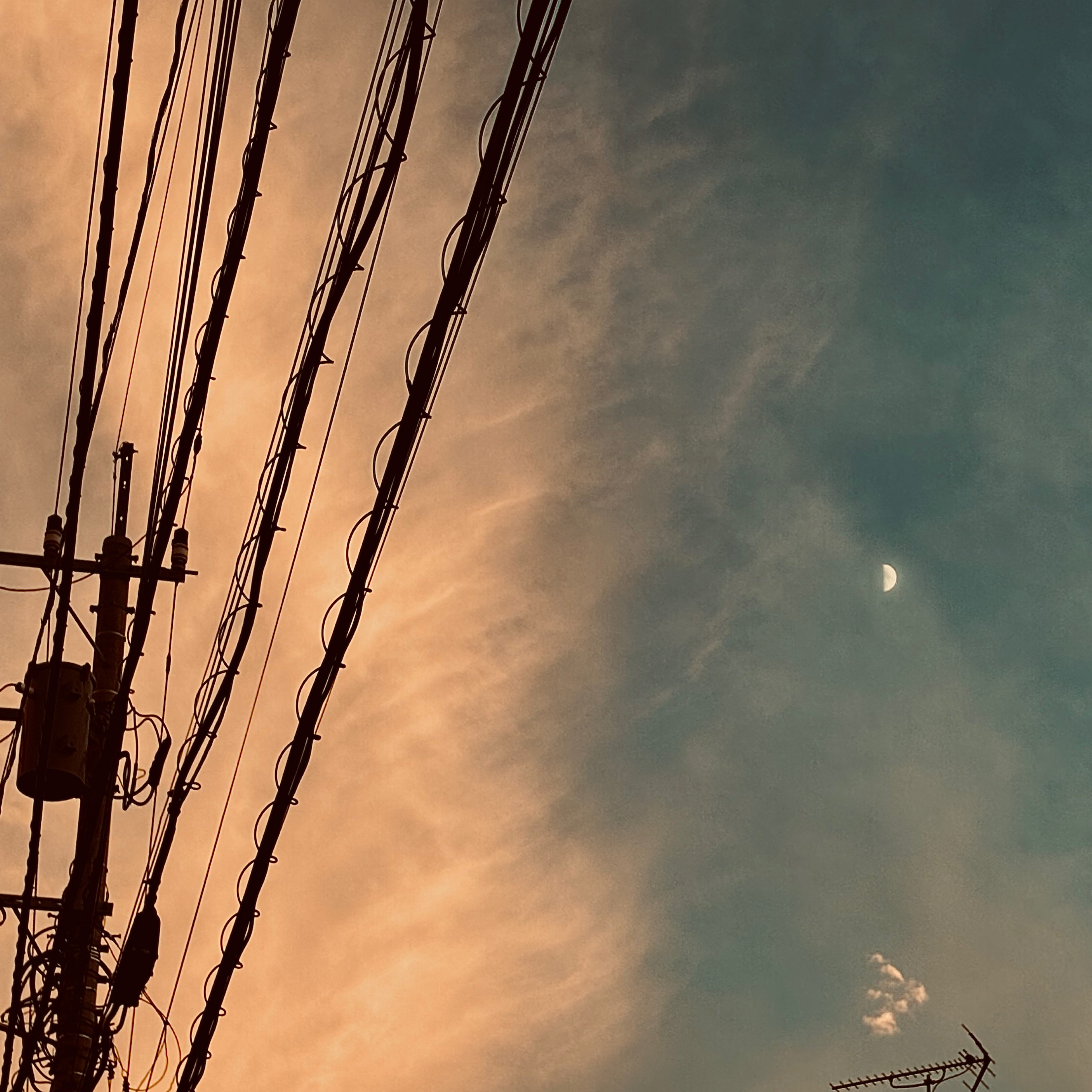 minoru✸ko┊フォロバ100💐