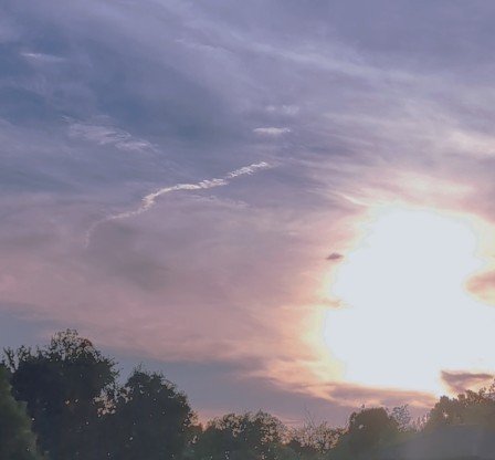 mochiru /フォロバ100