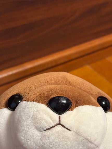 かわ子フォロバ100