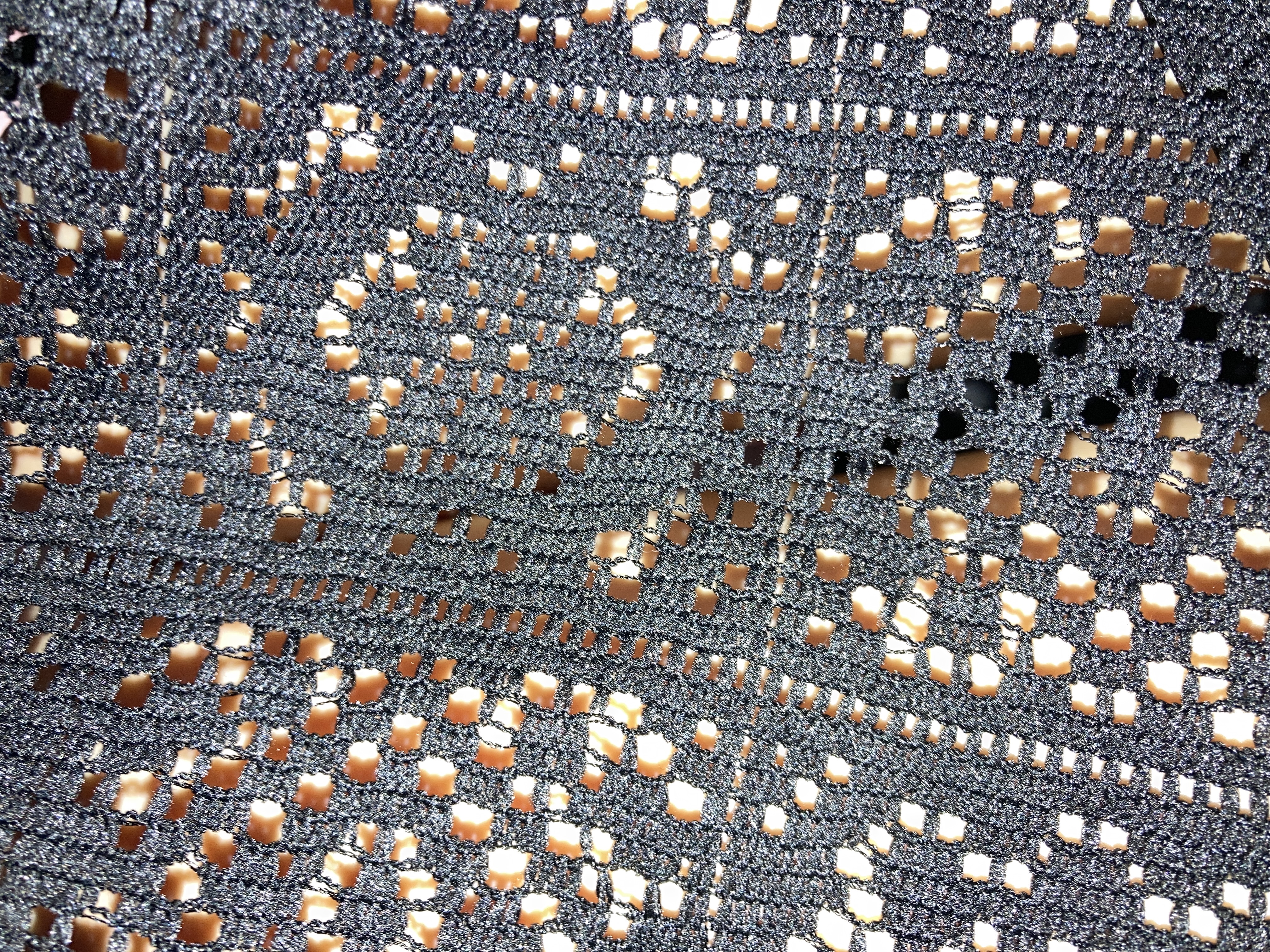 地球ナンヨウハギ🌏