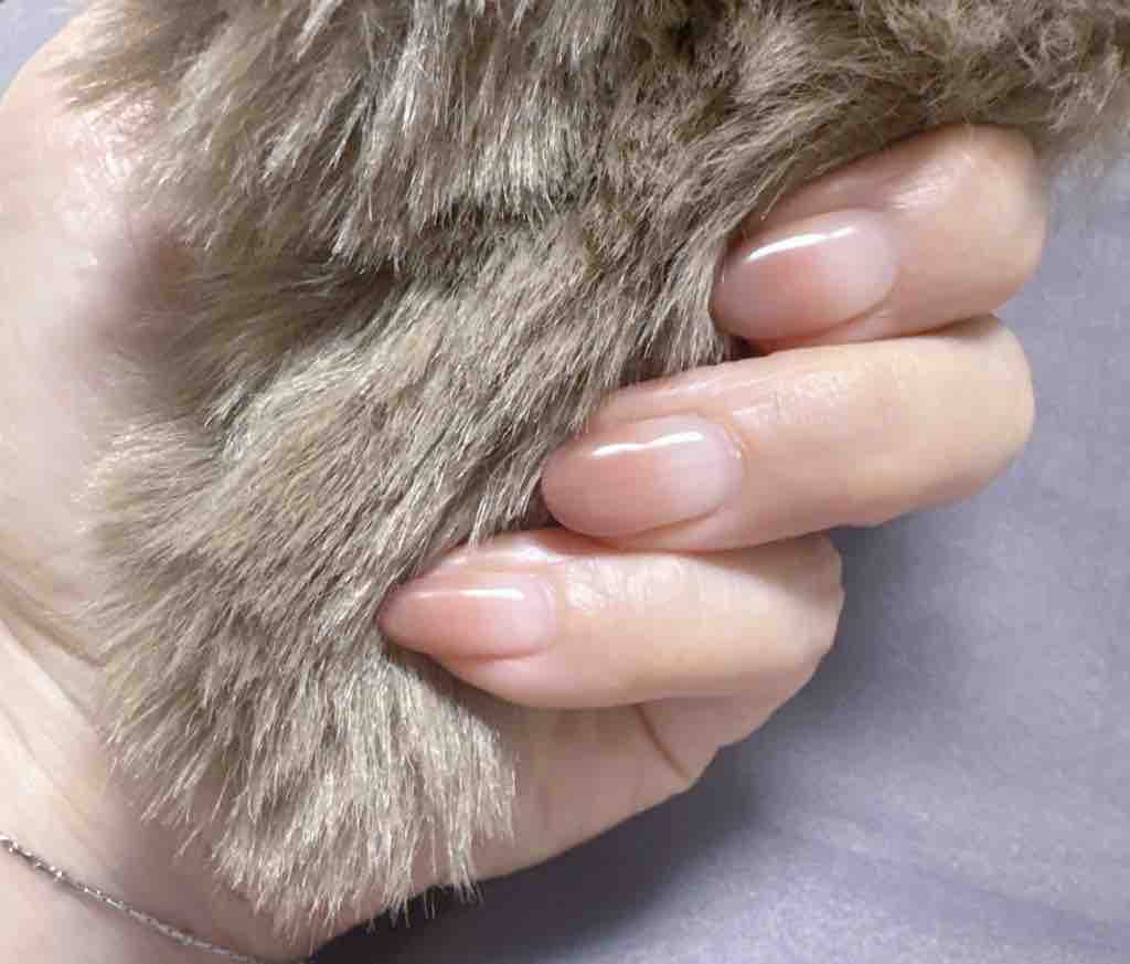 もね🌙‪‪フォロバしてます